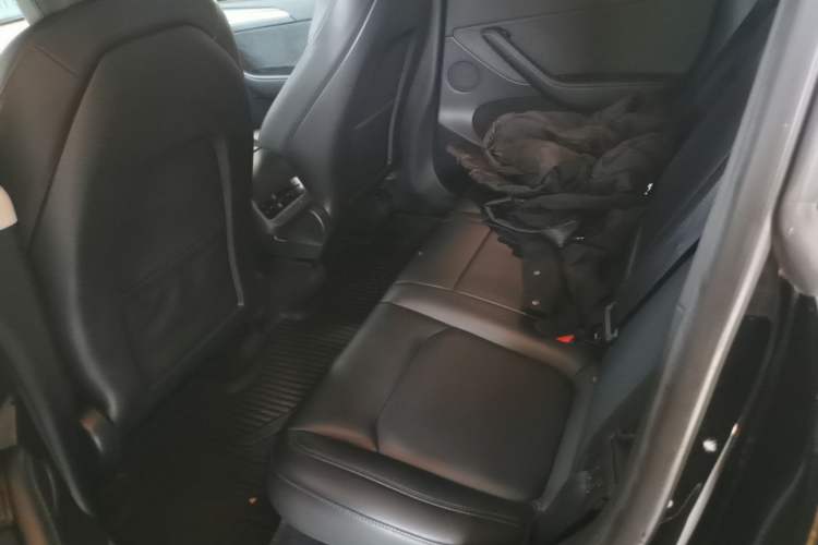 Used Tesla Model Y 2022 Rear-Wheel-Drive Version Left Rear Seat