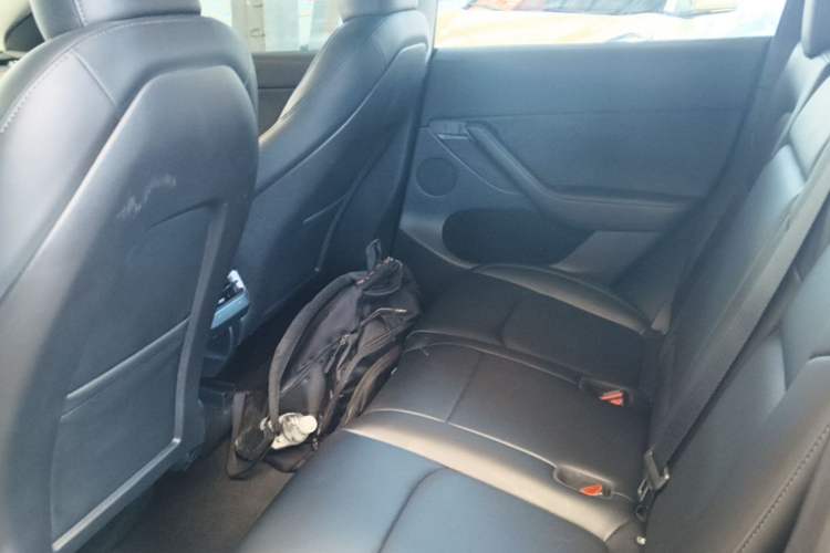 Used Tesla Model Y 2022 Revised Version Rear-Wheel Drive Left Rear Seat