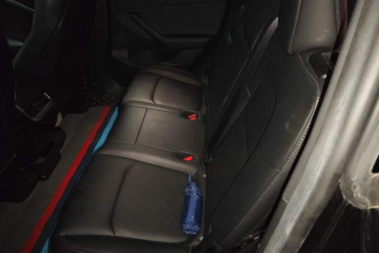 Used Tesla Model Y 2022 Revised Version Rear-Wheel Drive Left Rear Seat
