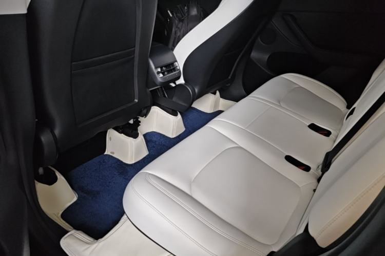 Used Tesla Model Y 2022 Long-Range All-Wheel-Drive Version Left Rear Seat