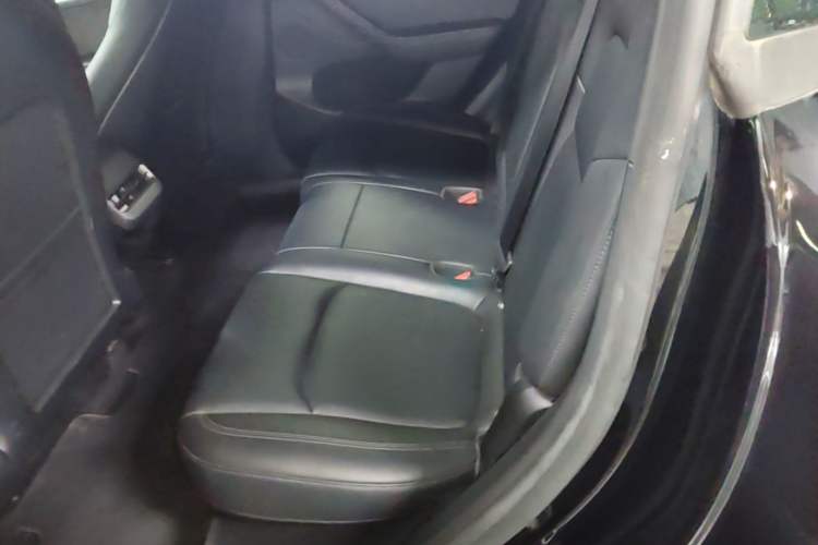 Used Tesla Model Y 2022 Revised Version Long-Range All-Wheel Drive Left Rear Seat