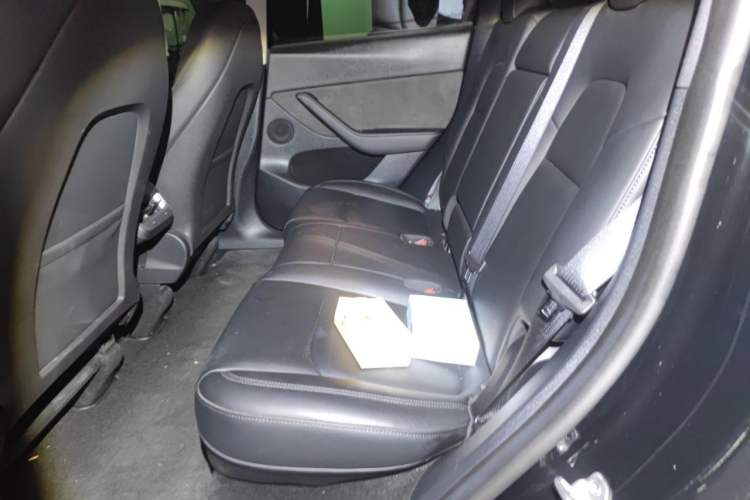 Used Tesla Model Y 2022 Revised Version Rear-Wheel Drive Left Rear Seat