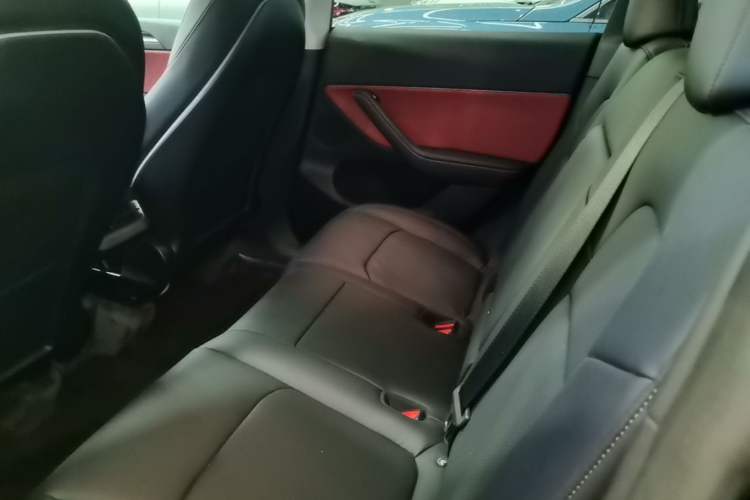 Used Tesla Model Y 2022 Performance High-Performance All-Wheel-Drive Version Left Rear Seat