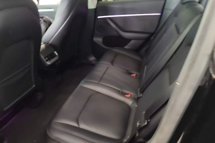 Used Tesla Model Y 2022 Long-Range All-Wheel-Drive Version Left Rear Seat