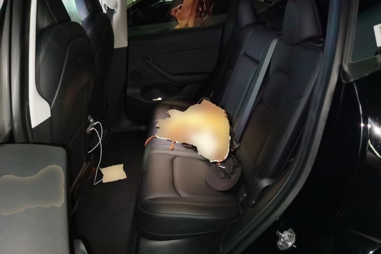 Used Tesla Model Y 2022 Rear-Wheel-Drive Version Left Rear Seat