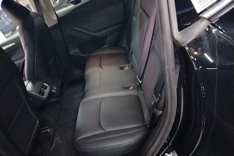 Used Tesla Model Y 2022 Revised Version Rear-Wheel Drive Left Rear Seat