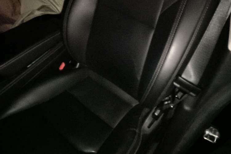 Used Tesla Model Y 2022 Rear-Wheel-Drive Version Left Rear Seat