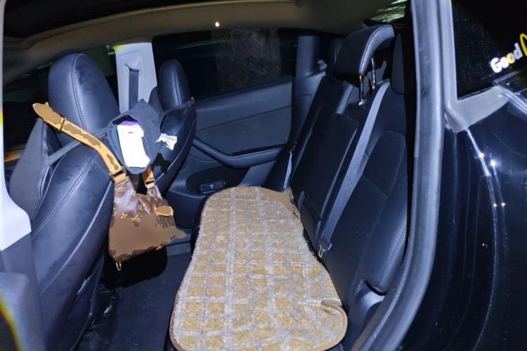 Used Tesla Model Y 2022 Revised Version Rear-Wheel Drive Left Rear Seat