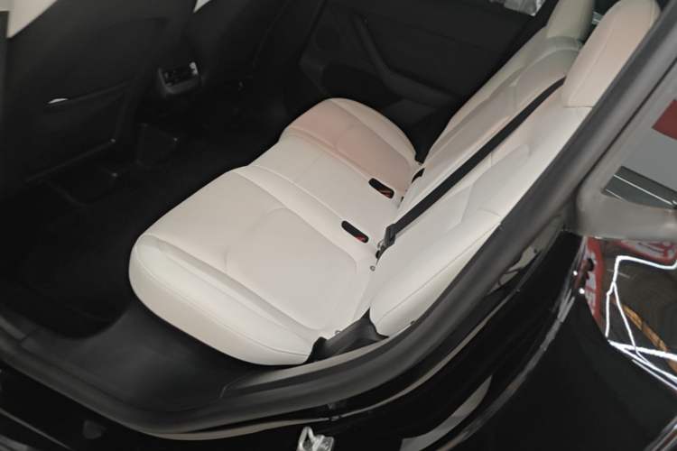 Used Tesla Model Y 2022 Revised Version Rear-Wheel Drive Left Rear Seat