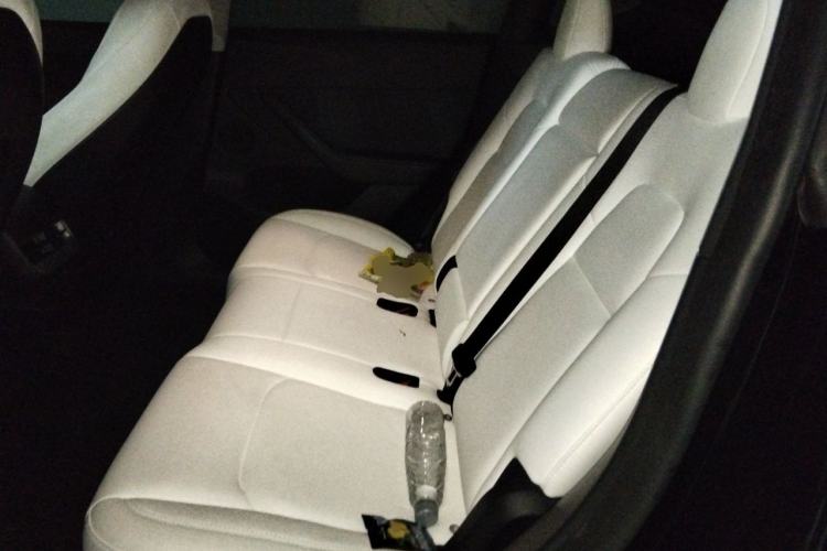 Used Tesla Model Y 2022 Performance High-Performance All-Wheel-Drive Version Left Rear Seat
