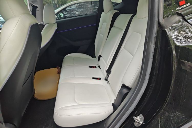 Used Tesla Model Y 2022 Revised Version Rear-Wheel Drive Left Rear Seat