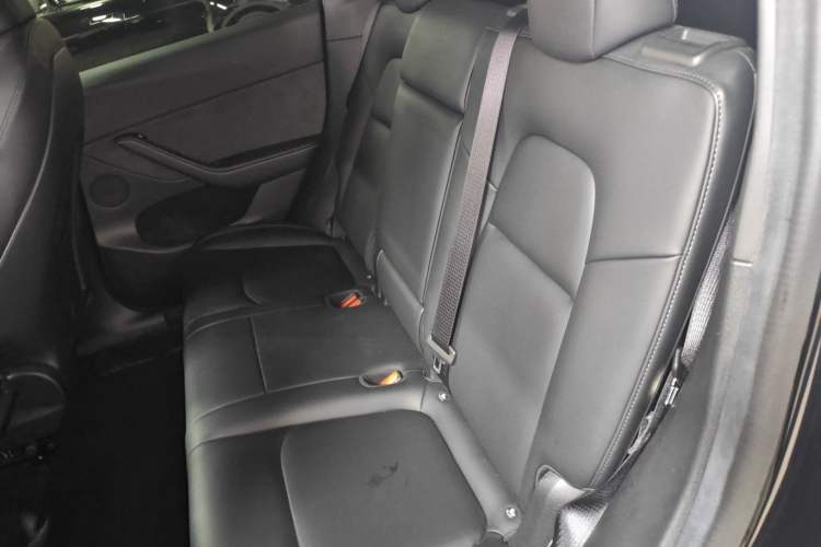 Used Tesla Model Y 2022 Rear-Wheel-Drive Version Left Rear Seat