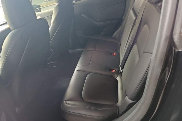 Used Tesla Model Y 2022 Rear-Wheel-Drive Version Left Rear Seat
