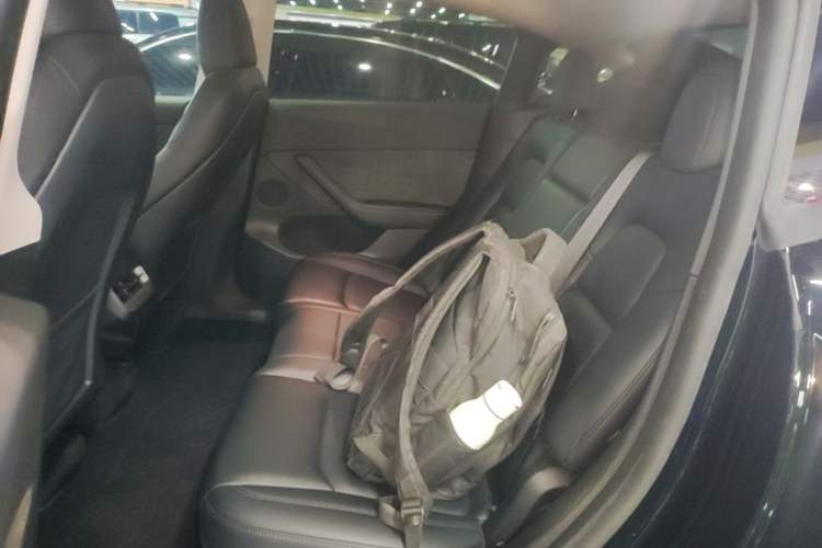 Used Tesla Model Y 2022 Revised Version Rear-Wheel Drive Left Rear Seat