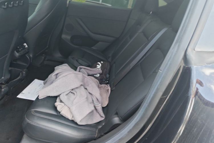 Used Tesla Model Y 2022 Rear-Wheel-Drive Version Left Rear Seat