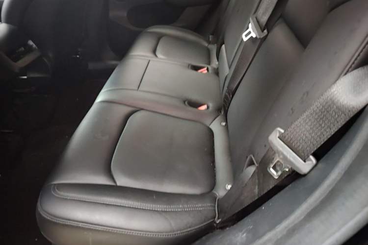 Used Tesla Model Y 2022 Revised Version Rear-Wheel Drive Left Rear Seat