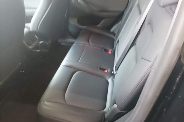 Used Tesla Model Y 2022 Rear-Wheel-Drive Version Left Rear Seat