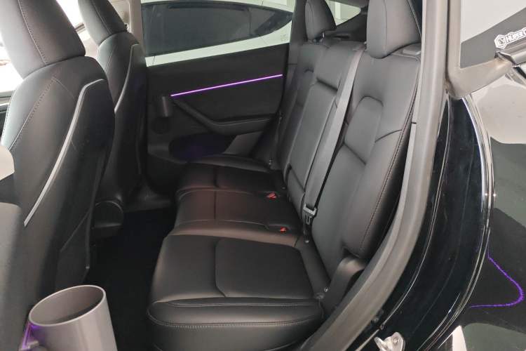 Used Tesla Model Y 2022 Revised Version Rear-Wheel Drive Left Rear Seat
