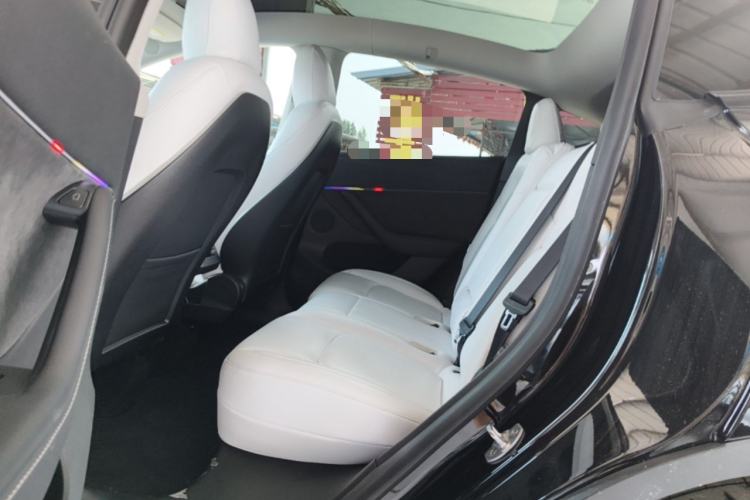 Used Tesla Model Y 2022 Revised Version Rear-Wheel Drive Left Rear Seat