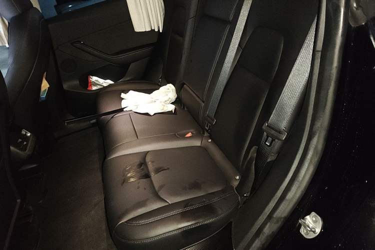 Used Tesla Model Y 2022 Revised Version Rear-Wheel Drive Left Rear Seat