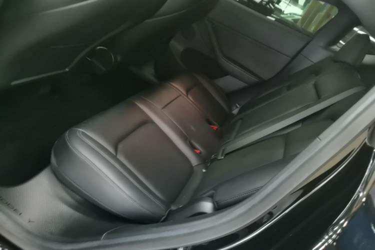 Used Tesla Model Y 2022 Rear-Wheel-Drive Version Left Rear Seat