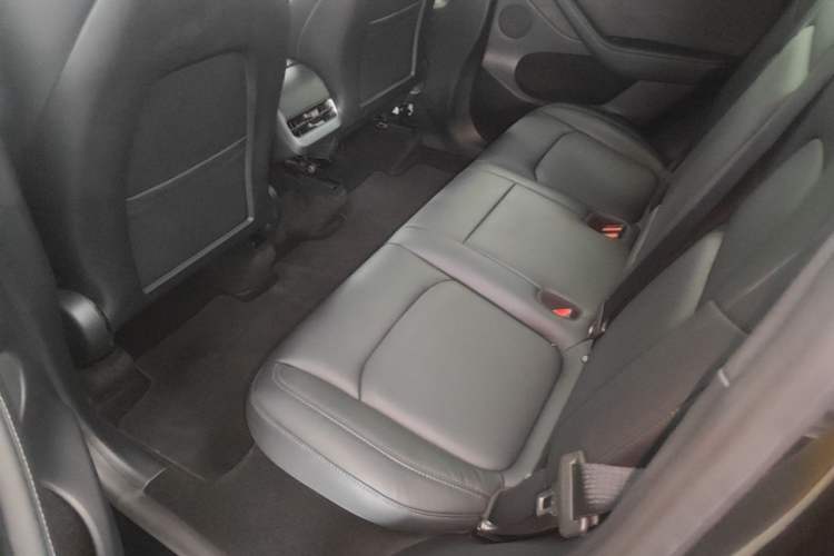 Used Tesla Model Y 2022 Rear-Wheel-Drive Version Left Rear Seat