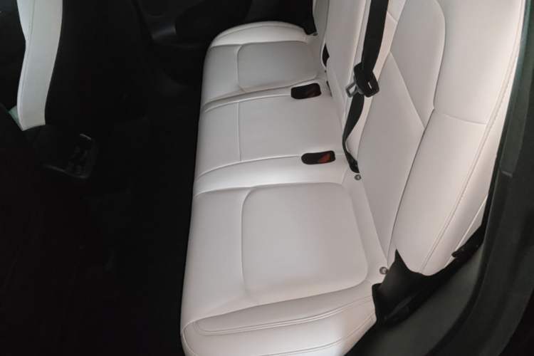 Used Tesla Model Y 2022 Rear-Wheel-Drive Version Left Rear Seat