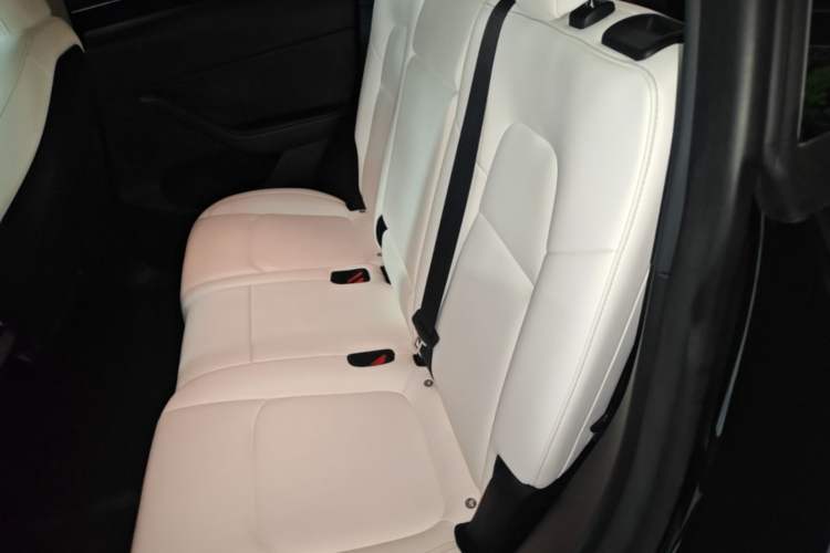 Used Tesla Model Y 2022 Revised Version Rear-Wheel Drive Left Rear Seat