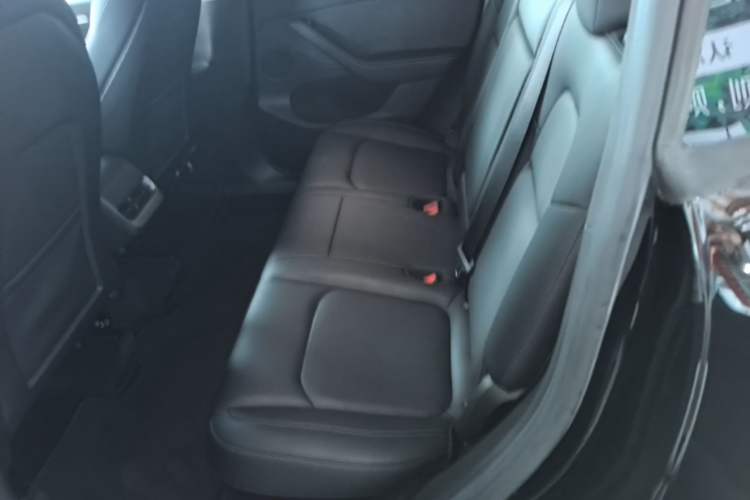Used Tesla Model Y 2022 Long-Range All-Wheel-Drive Version Left Rear Seat