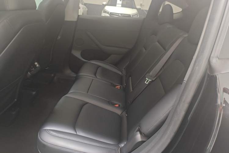 Used Tesla Model Y 2022 Revised Version Long-Range All-Wheel Drive Left Rear Seat