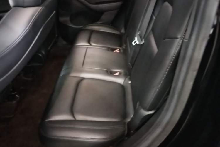 Used Tesla Model Y 2022 Rear-Wheel-Drive Version Left Rear Seat