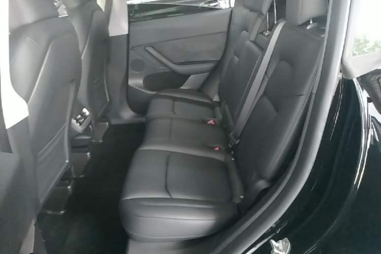 Used Tesla Model Y 2022 Revised Version Rear-Wheel Drive Left Rear Seat