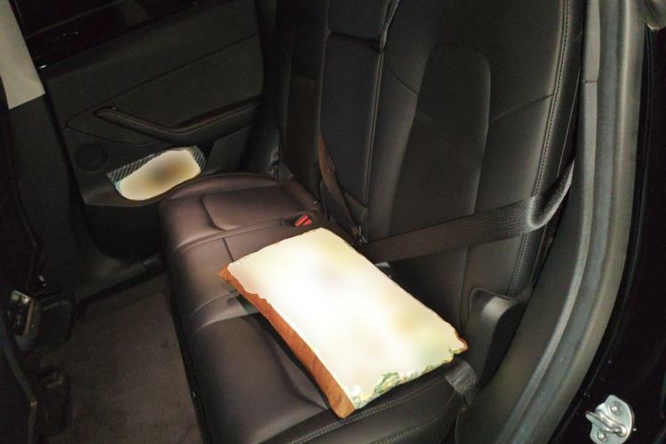 Used Tesla Model Y 2022 Performance High-Performance All-Wheel-Drive Version Left Rear Seat