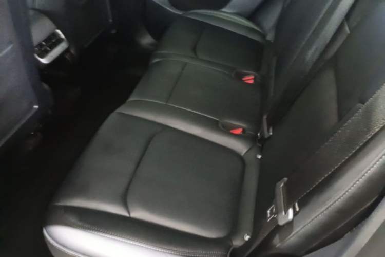 Used Tesla Model Y 2022 Revised Version Rear-Wheel Drive Left Rear Seat