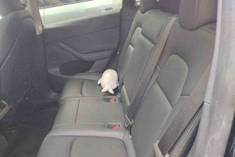 Used Tesla Model Y 2022 Rear-Wheel-Drive Version Left Rear Seat
