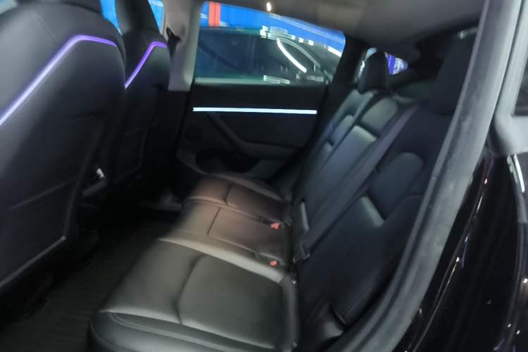 Used Tesla Model Y 2022 Revised Version Rear-Wheel Drive Left Rear Seat