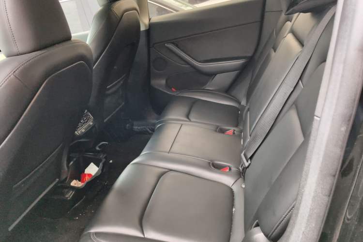 Used Tesla Model Y 2022 Revised Version Rear-Wheel Drive Left Rear Seat