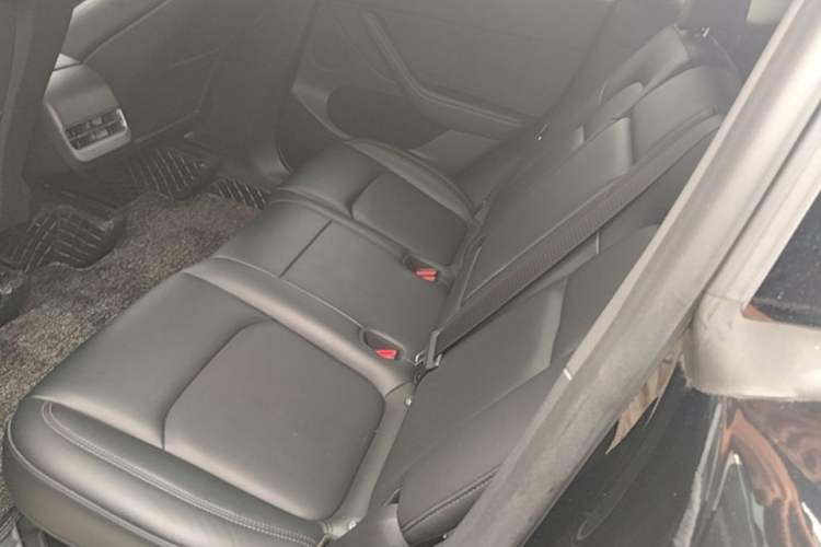 Used Tesla Model Y 2022 Revised Version Rear-Wheel Drive Left Rear Seat