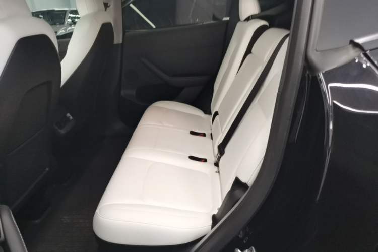 Used Tesla Model Y 2022 Rear-Wheel-Drive Version Left Rear Seat