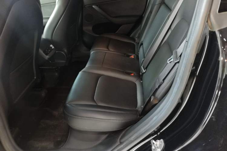 Used Tesla Model Y 2022 Revised Version Rear-Wheel Drive Left Rear Seat