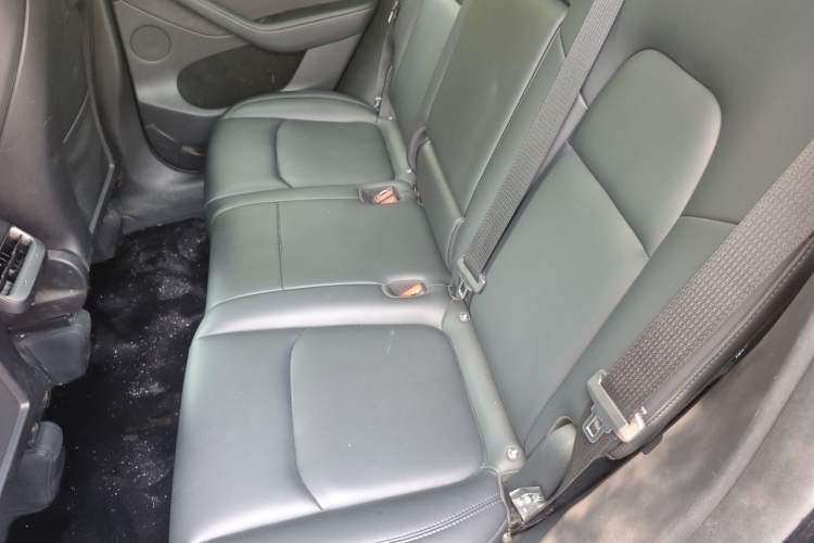 Used Tesla Model Y 2022 Revised Version Rear-Wheel Drive Left Rear Seat