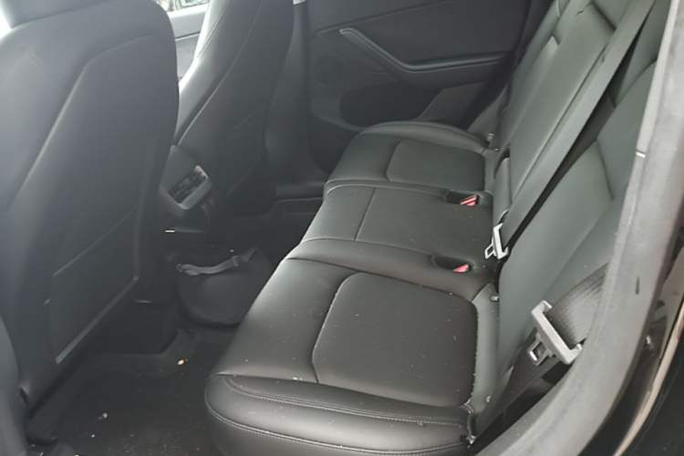 Used Tesla Model Y 2022 Revised Version Rear-Wheel Drive Left Rear Seat