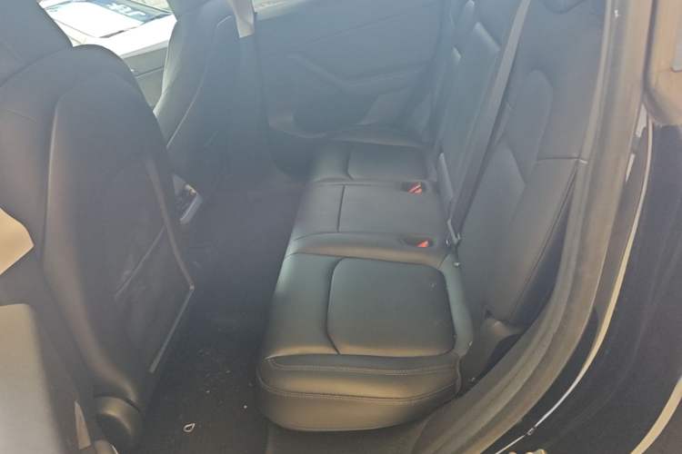 Used Tesla Model Y 2022 Performance High-Performance All-Wheel-Drive Version Left Rear Seat