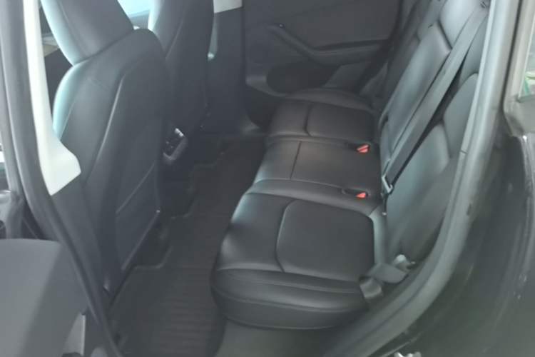 Used Tesla Model Y 2022 Revised Version Rear-Wheel Drive Left Rear Seat