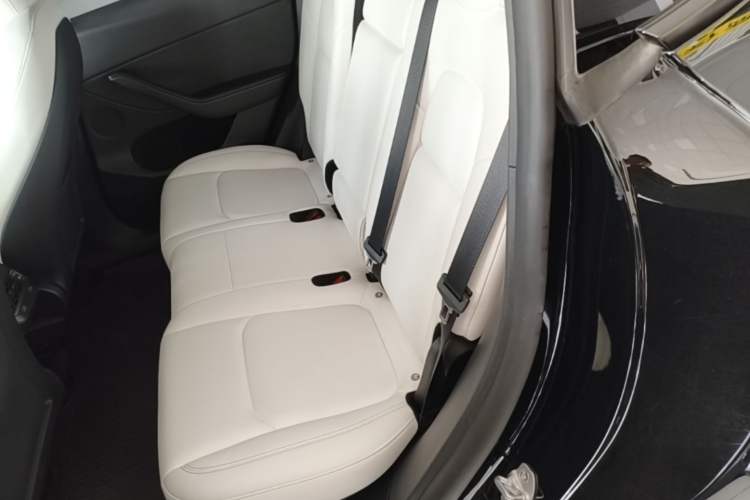 Used Tesla Model Y 2022 Revised Version Rear-Wheel Drive Left Rear Seat