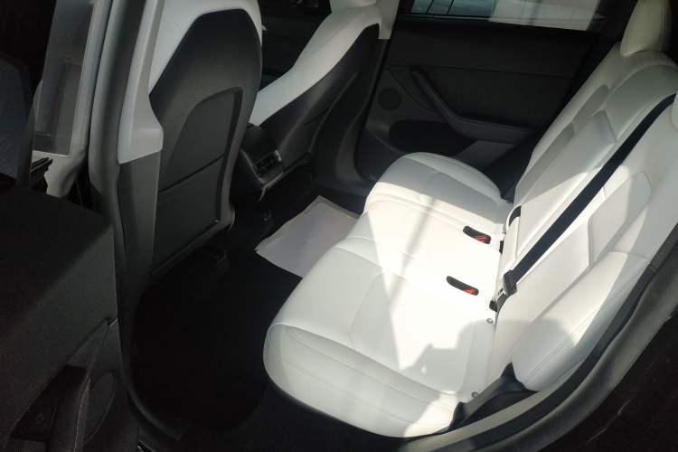 Used Tesla Model Y 2022 Performance High-Performance All-Wheel-Drive Version Left Rear Seat