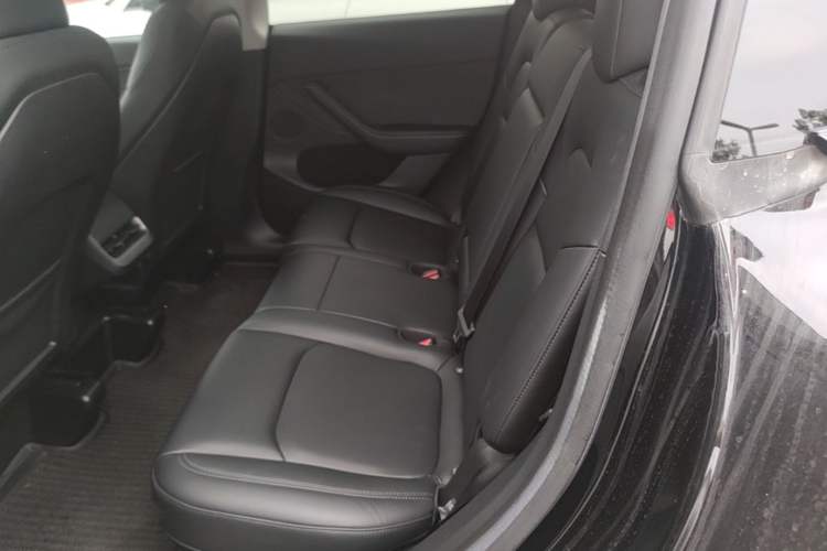 Used Tesla Model Y 2022 Revised Version Long-Range All-Wheel Drive Left Rear Seat