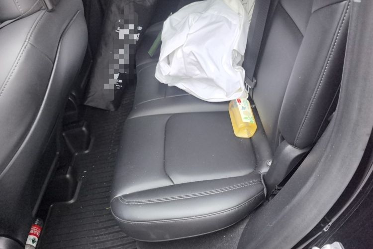 Used Tesla Model Y 2022 Performance High-Performance All-Wheel-Drive Version Left Rear Seat
