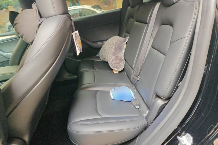 Used Tesla Model Y 2022 Revised Version Rear-Wheel Drive Left Rear Seat