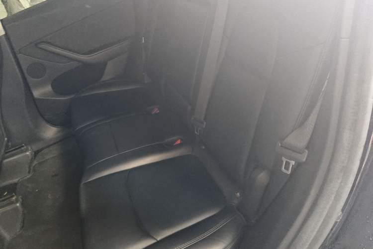 Used Tesla Model Y 2022 Revised Version Rear-Wheel Drive Left Rear Seat
